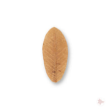 Betta Botanicals–Guava Leaves