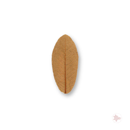 Betta Botanicals–Guava Leaves