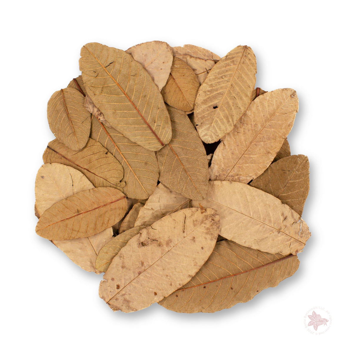 Betta Botanicals–Guava Leaves