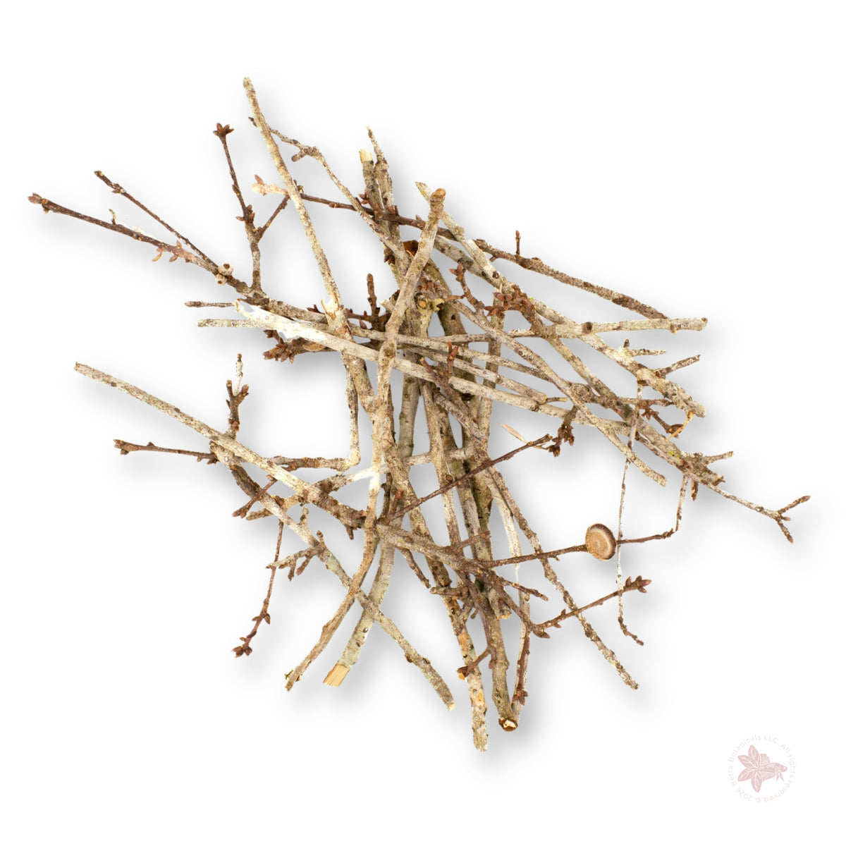 Betta Botanicals Oak Twigs