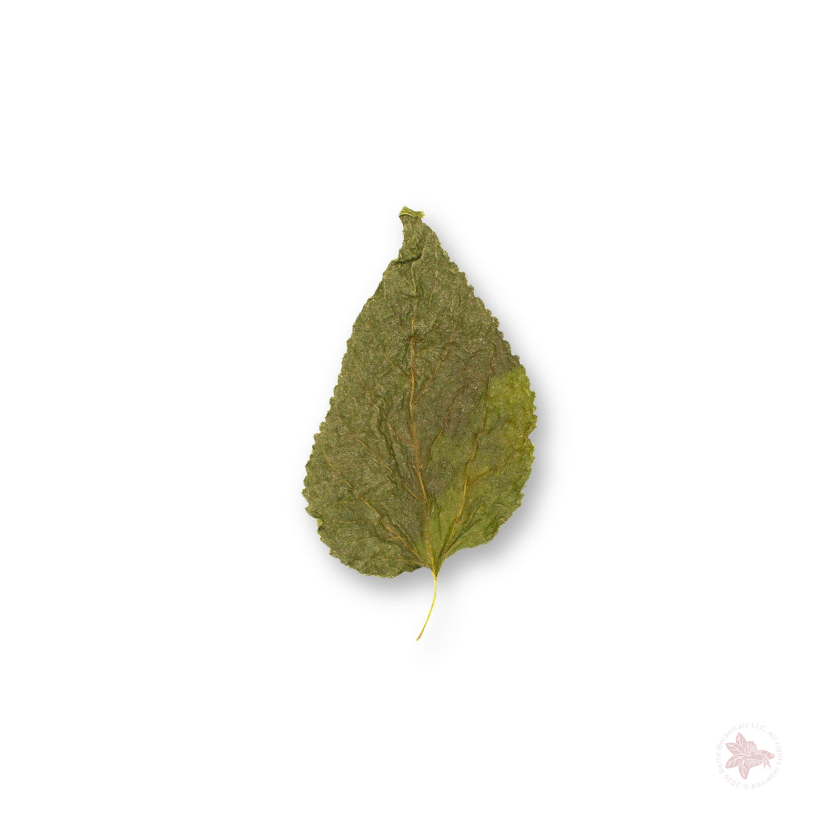 Betta Botanicals-Mulberry Leaves