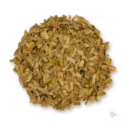 Betta Botanicals–Tamarind Leaf Litter