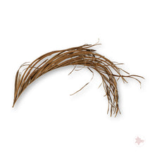 Betta Botanicals–Areca Palm Fronds