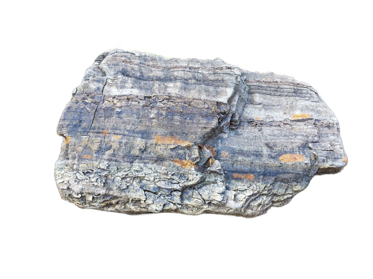 Blue Petriefied Wood Stone