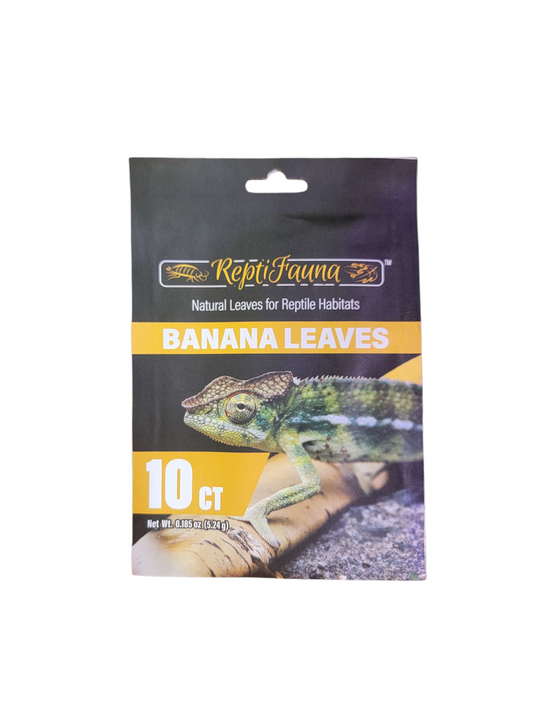 Banana Leaves 10ct