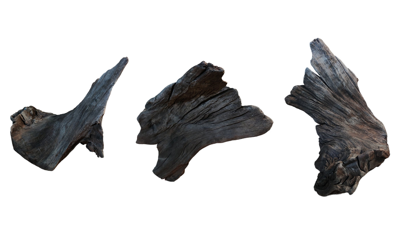 Blackwood